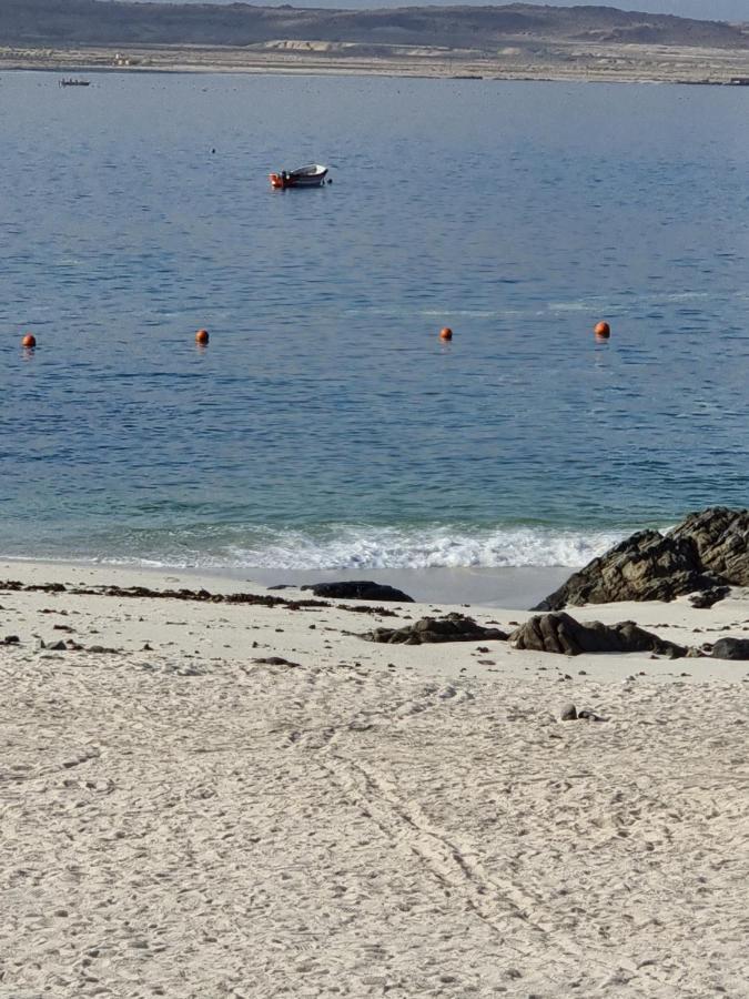 Cabanas Aquila D'Arroscia Bahia Inglesa Kültér fotó